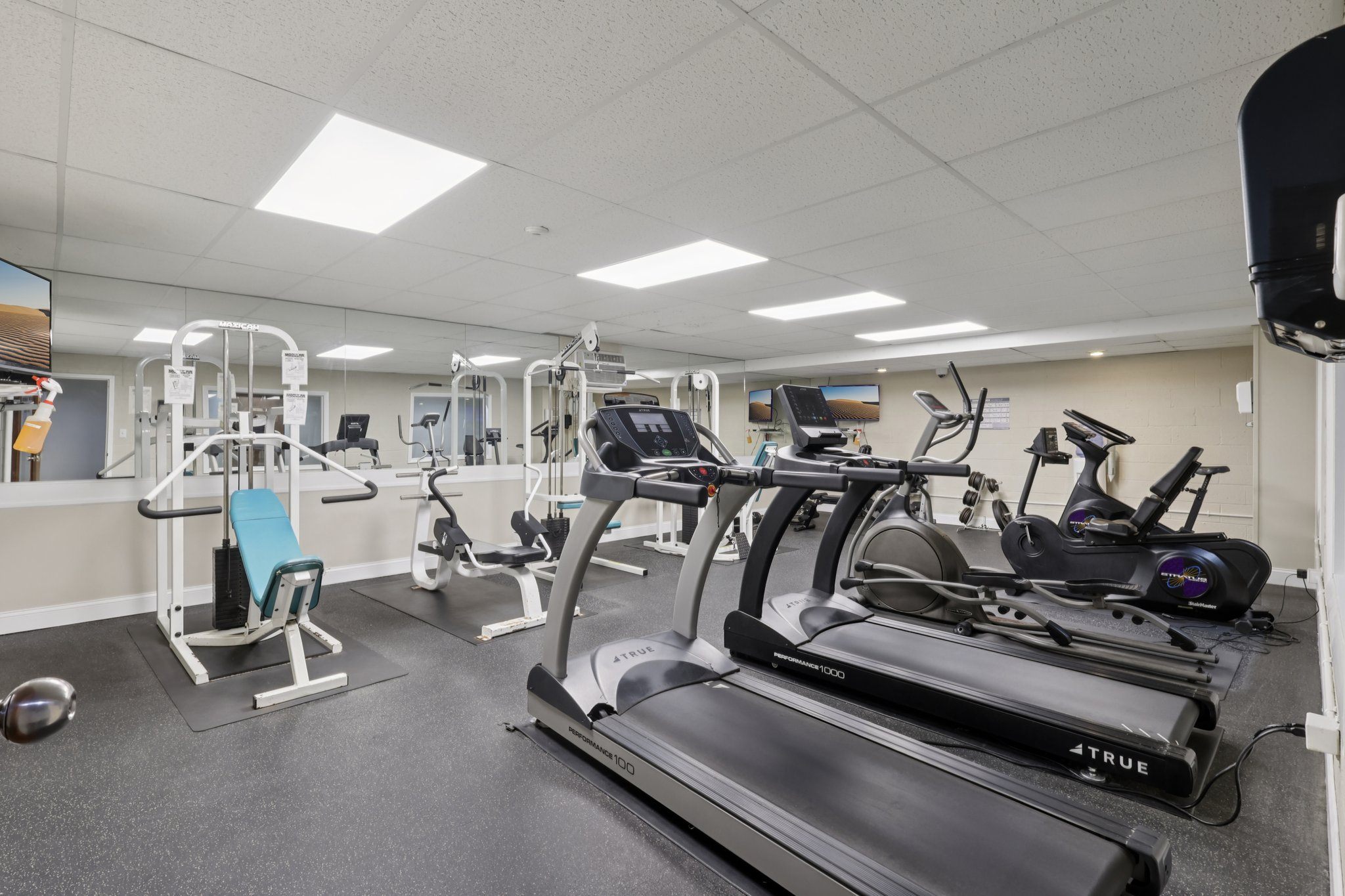 Birnam Wood Apartments